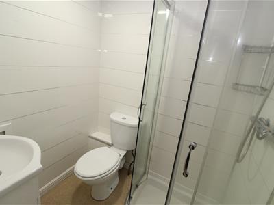 Picture 24